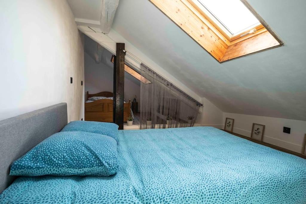 Cocon Sous Les Toits Apartment Albertville Exterior photo
