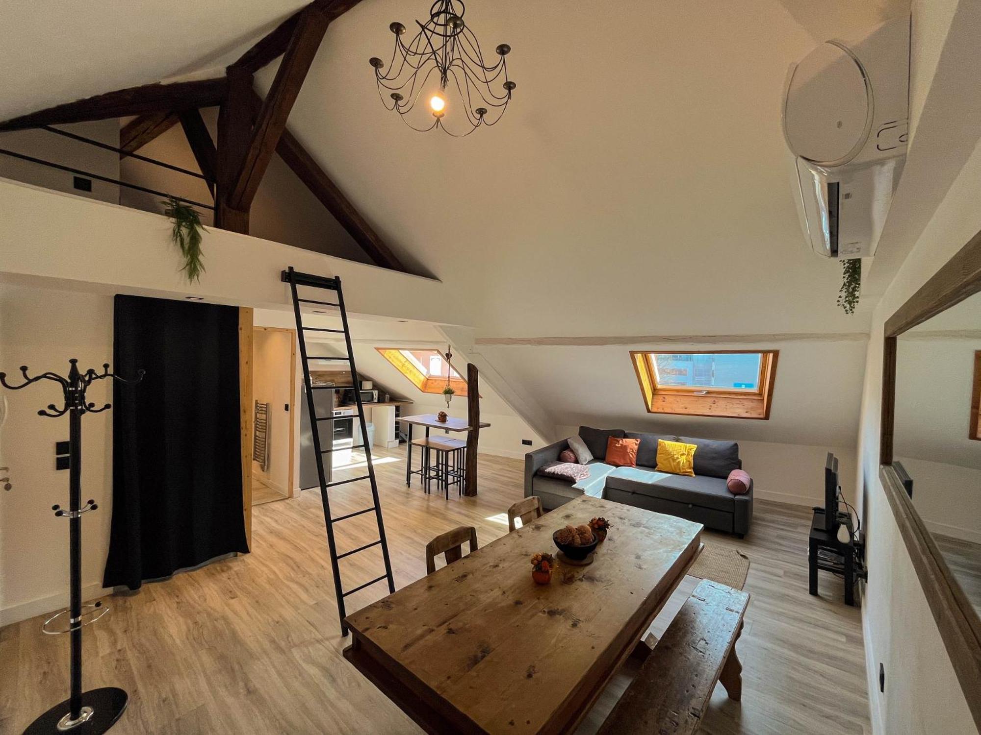 Cocon Sous Les Toits Apartment Albertville Exterior photo