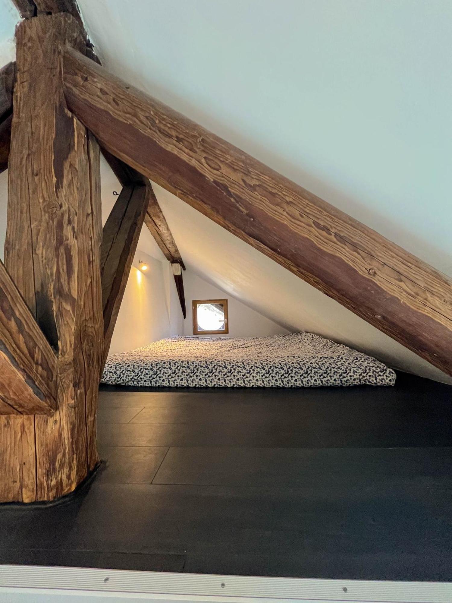 Cocon Sous Les Toits Apartment Albertville Exterior photo